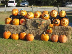 Pumpkin Carvings.jpg