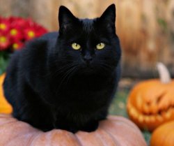 IMG_8947.JPG