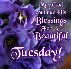 Beautiful-Tuesday.jpg