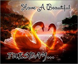 Beautiful Tuesday.jpg Beautiful Tuesday.jpg