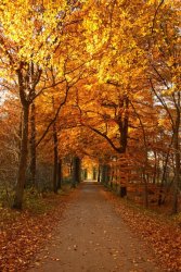 IMG_6517.JPG IMG_6517.JPG