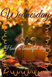 IMG_6528.JPG IMG_6528.JPG