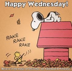 IMG_6530.JPG IMG_6530.JPG