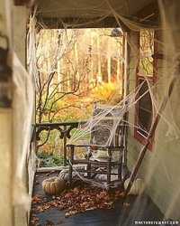 IMG_9167.JPG