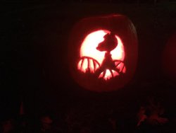 IMG_6562.JPG