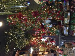 IMG_0599.JPG