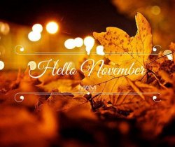 211266-Hello-November-Photography-Quote.jpg