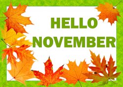 Nov 1st.jpg