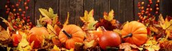 autumn-facts.jpg