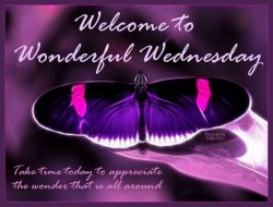 181546-Wonderful-Wednesday.jpg
