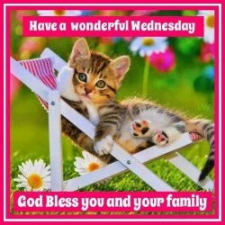 132613-Have-A-Wonderful-Wednesday.jpg