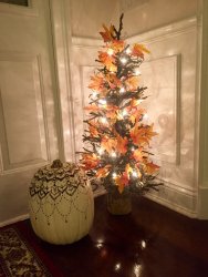 IMG_9704.JPG