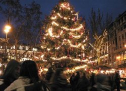 xmaslights.jpg