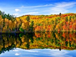 fall-foliage-midwest-wisconsin.jpg.rend.tccom.616.462.jpeg