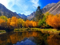 fall-foliage-western-aspen-colorado.jpg.rend.tccom.616.462.jpeg