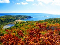fall-foliage-acadia-national-park-maine.jpg.rend.tccom.616.462.jpeg