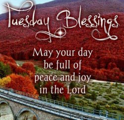 167460-Tuesday-Blessings.jpg