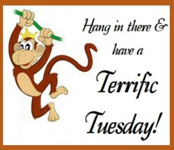 Monkey Tuesday.jpg