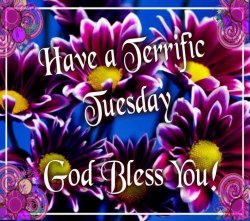 Have-A-Terrific-Tuesday.jpg