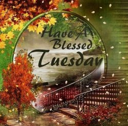 Blessed Tuesday.jpg