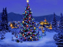 beautiful-Christmas-Trees.jpg