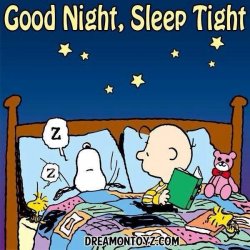 Good Night Peanuts.jpg