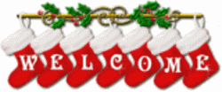 DividerChristmasWelcome.gif