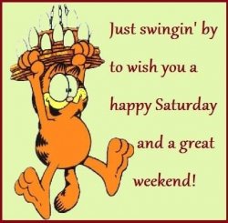 Happy Saturday Garfield.jpg