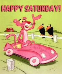 Happy Saturday Panther.jpg
