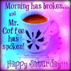 Mr Coffee Saturday.jpg
