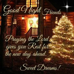Christmas Good Night.jpg