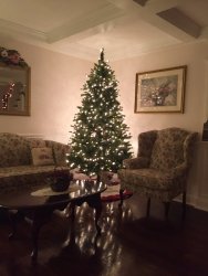 IMG_0046.JPG