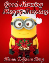 Good-Morning-Happy-Tuesday-Christmas-Minion-Quote.jpg