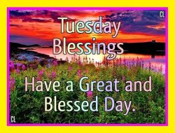 Blessed Tuesday.jpg