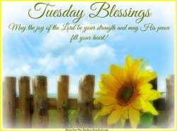 Tuesday Blessing.jpg