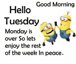 Minion Tuesday.jpg