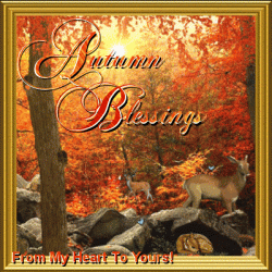 Autumn Heart.gif