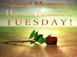 Beautiful Tuesday.jpg