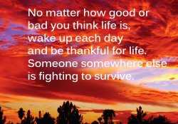 Be Thankful.jpg