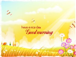 Morning Nice Day.jpg