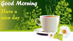 Good Morning Green.jpg