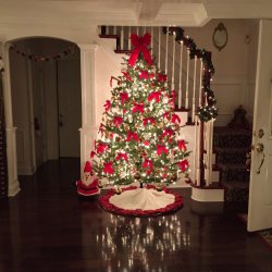 IMG_0403.JPG