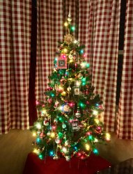 IMG_0236.JPG