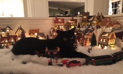 IMG_0917.JPG