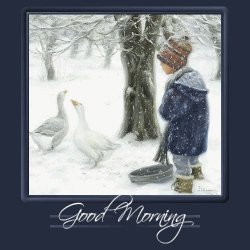 Good Morning Geese.jpg