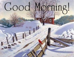 Snowy Morning.jpg