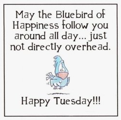 Happy-Tuesday.jpg
