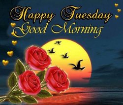 Happy Tuesday Good Morning.jpg