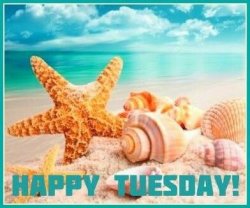 Happy-Tuesday.jpg