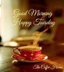 Good-Morning-Happy-Tuesday.jpg